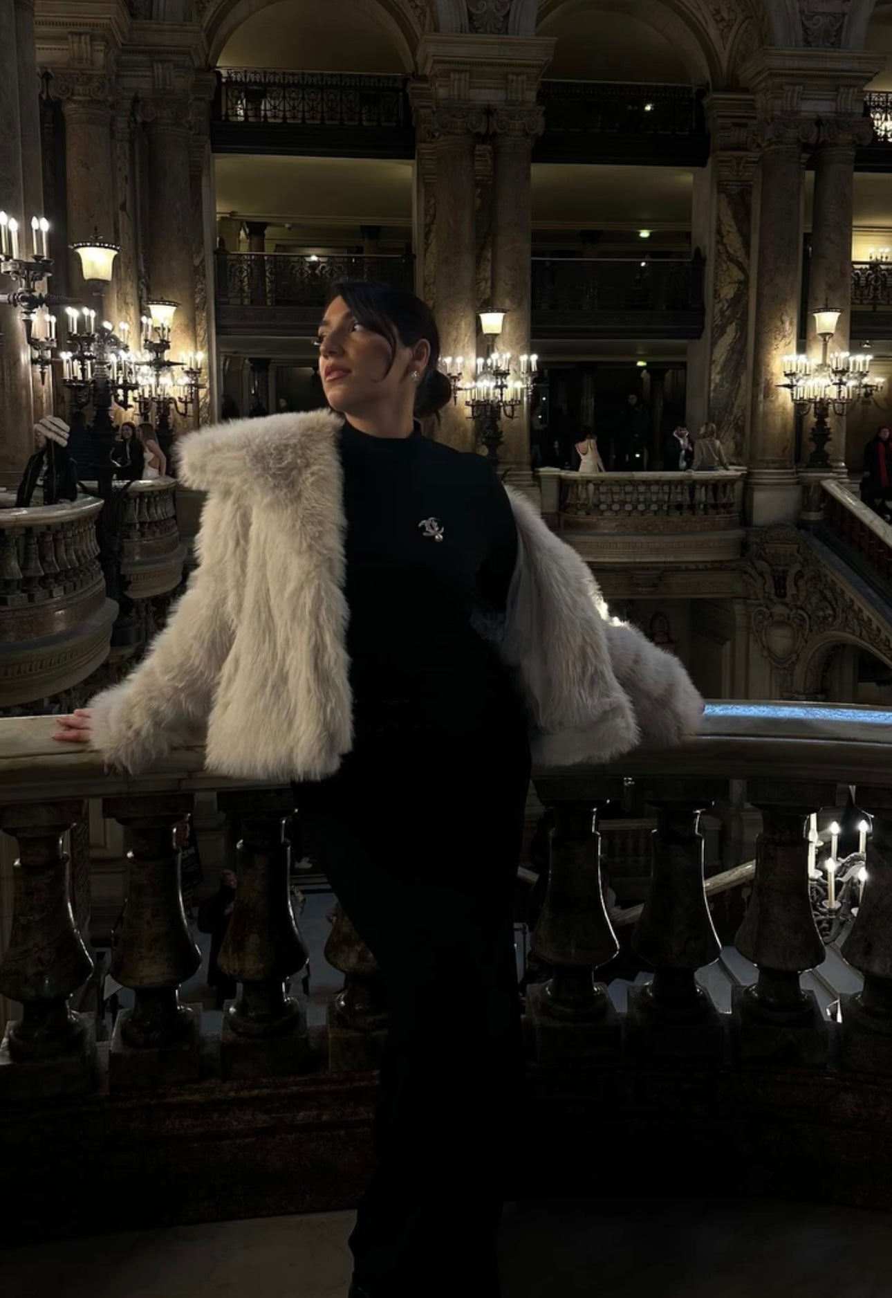 Maison Élise Luxe Fur Jacket